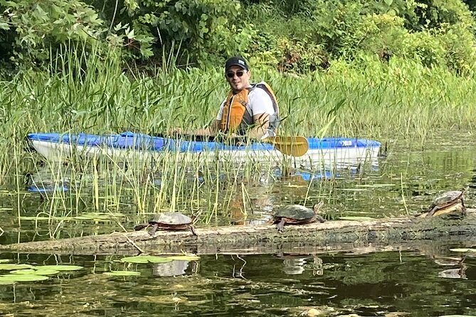 Ottawa: Ecological Reserve Kayak Tour with Turtle Sightings - The educational building, picnic area, and trails