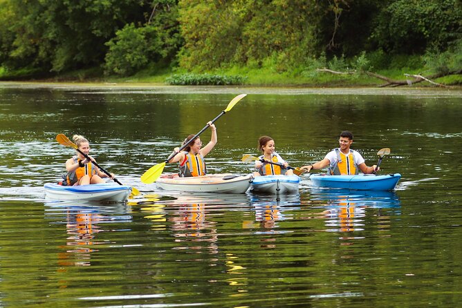 Ottawa: Ecological Reserve Kayak Tour with Turtle Sightings - Meeting the guide and getting on the water