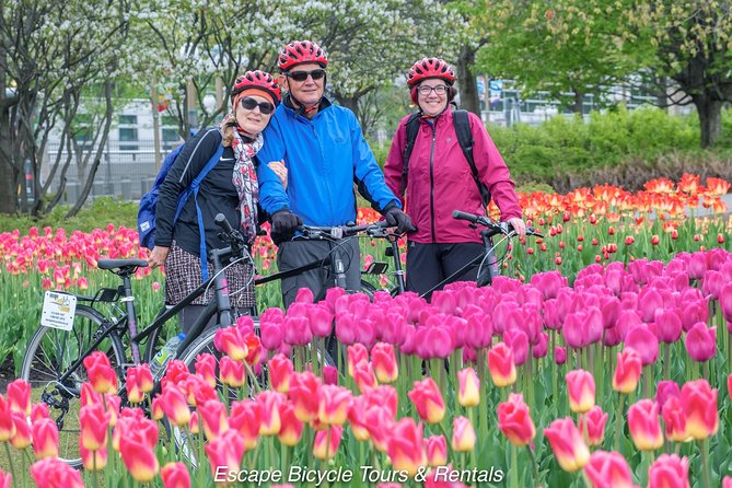 Ottawa Highlights 3.5 Hour Bike Tour - Rideau Hall, Rideau Falls, and ByWard Market