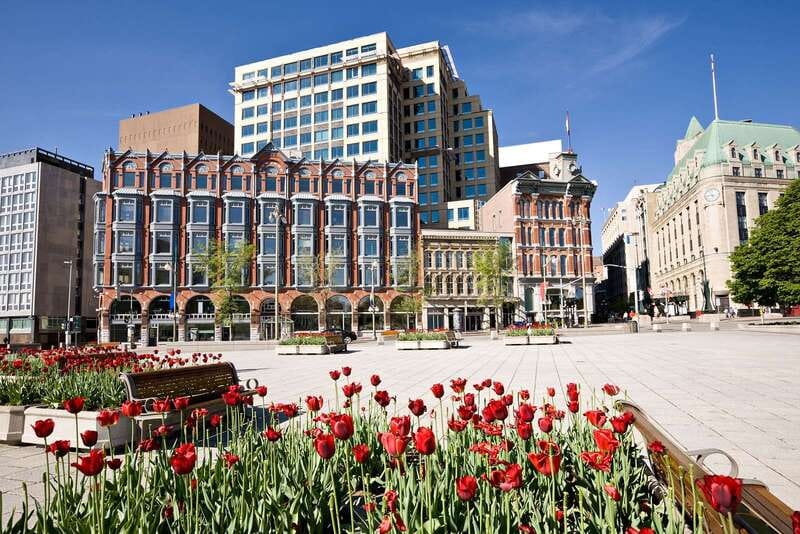Ottawa: Hop-On Hop-Off Guided City Tour Pass - ByWard Market for food and city life
