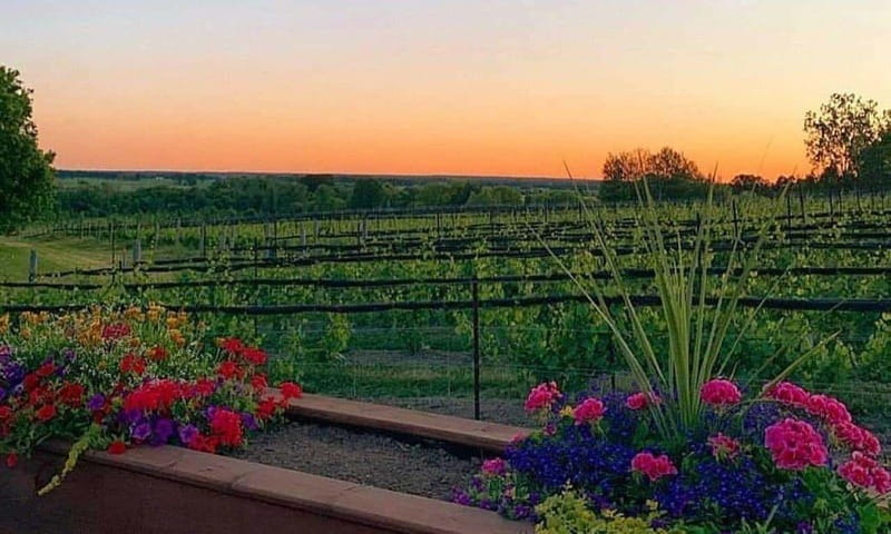 Ottawa: Local Wine and Cider Tour - Food makes the price easier to assess