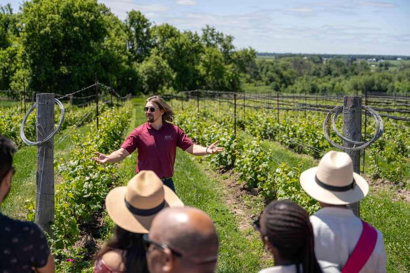 Ottawa: Local Wine and Cider Tour - Who will enjoy this wine and cider day