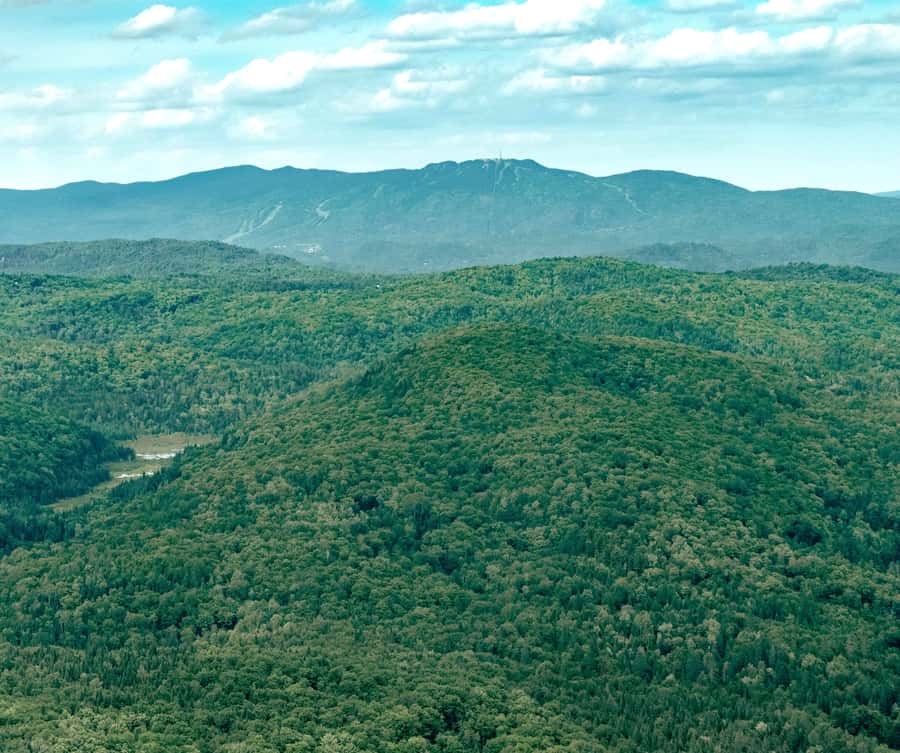 Ottawa: Panoramic helicopter flight (Gatineau Park + downtown) - Who will enjoy this flight most