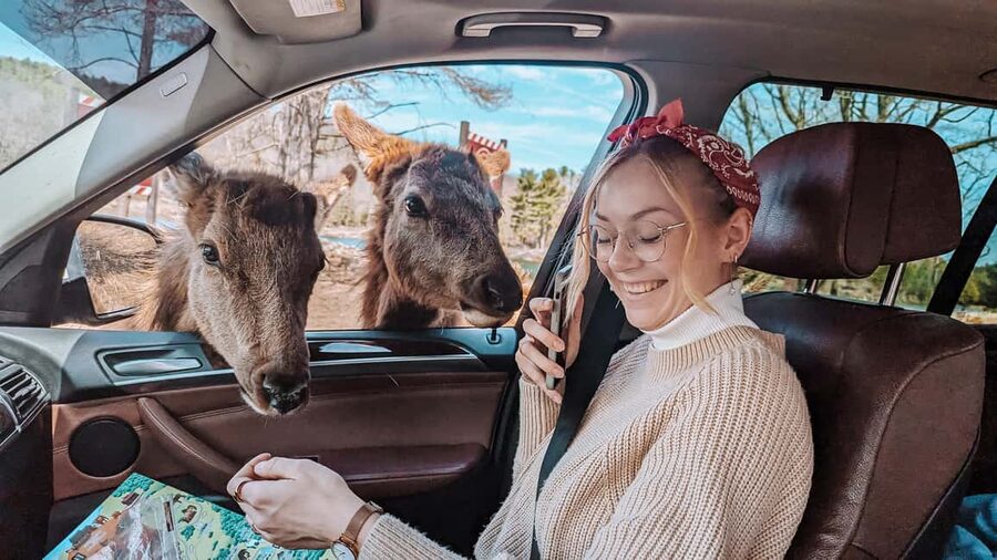 Ottawa: Private Parc Omega Wildlife Safari – Winter Magic - Choosing the best season and start time