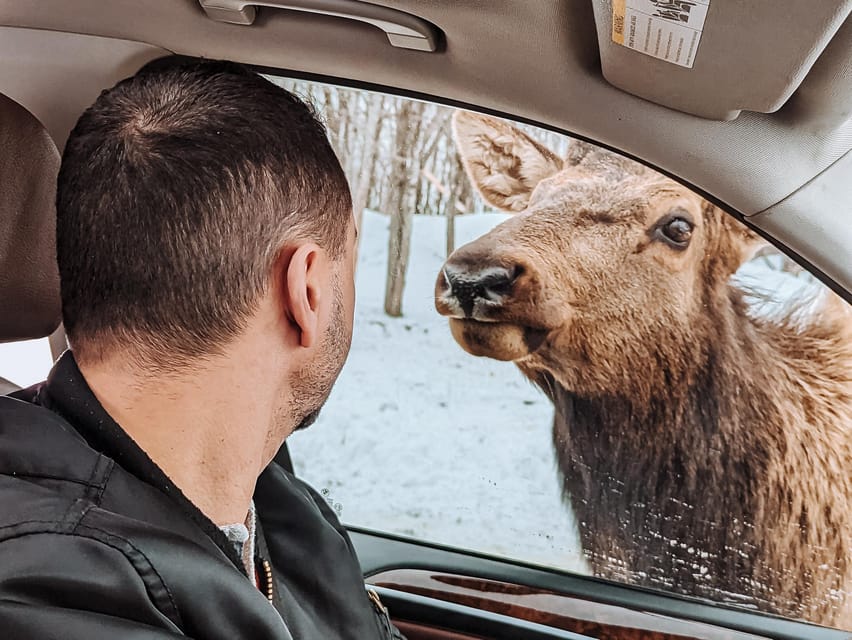 Ottawa: Private Parc Omega Wildlife Safari – Winter Magic - Food, comfort, and practical planning