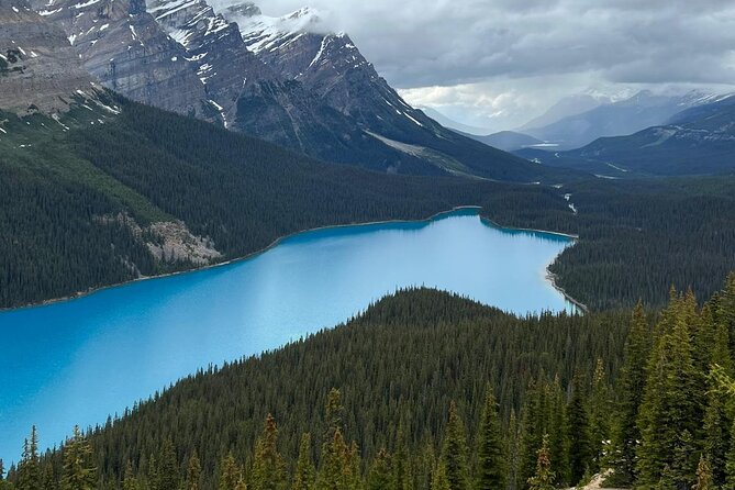 Peyto Lake, Bow Lake Lake Louise Moraine Lake Half Day Tour - Bow Lake and Crowfoot Glacier are quick scenic pauses