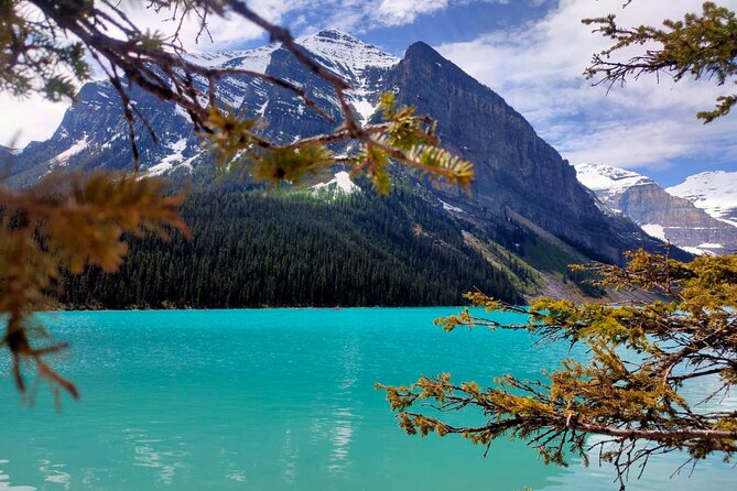 Peyto Lake, Bow Lake Lake Louise Moraine Lake Half Day Tour - What the vehicle and group size mean for your day