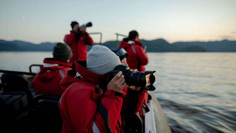 Port Hardy: Sea Otter and Whale Watching - The hydrophone changes how you watch whales