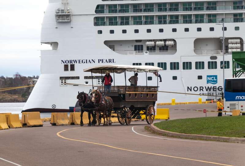 Prince Edward Island: Horse-Drawn Carriage Tour - Key points at a glance