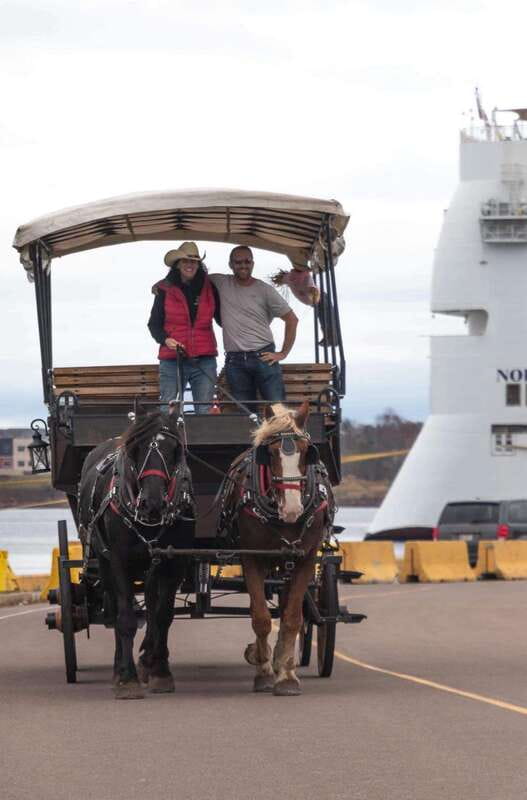 Prince Edward Island: Horse-Drawn Carriage Tour - How it compares with walking and vehicle tours