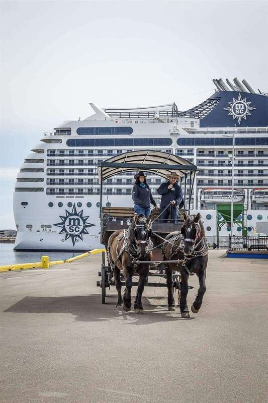 Prince Edward Island: Horse-Drawn Carriage Tour - A gentle introduction to Charlottetown by carriage