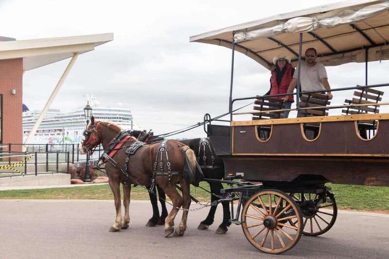 Prince Edward Island: Horse-Drawn Carriage Tour - The guide is the heart of the experience