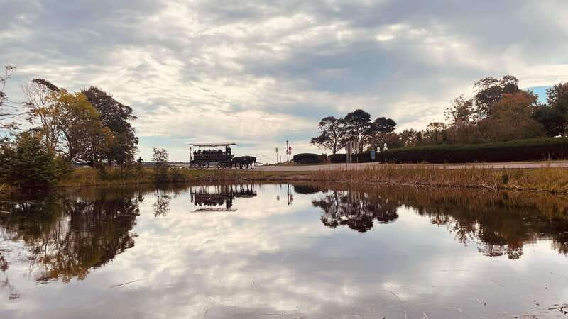 Prince Edward Island: Horse-Drawn Carriage Tour - Meeting the horses and taking photos