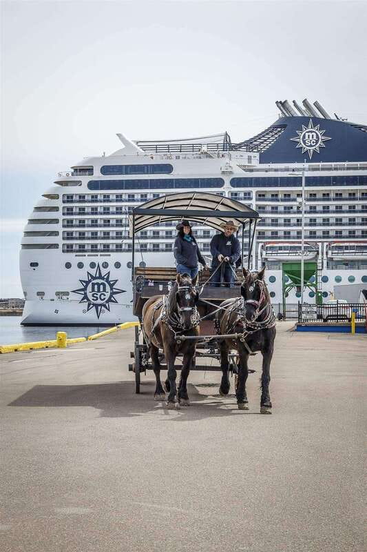 Prince Edward Island: Horse-Drawn Carriage Tour - Is $23 a good value?