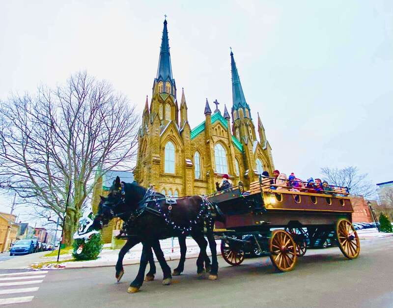 Prince Edward Island: Horse-Drawn Carriage Tour - Who should book this carriage ride?