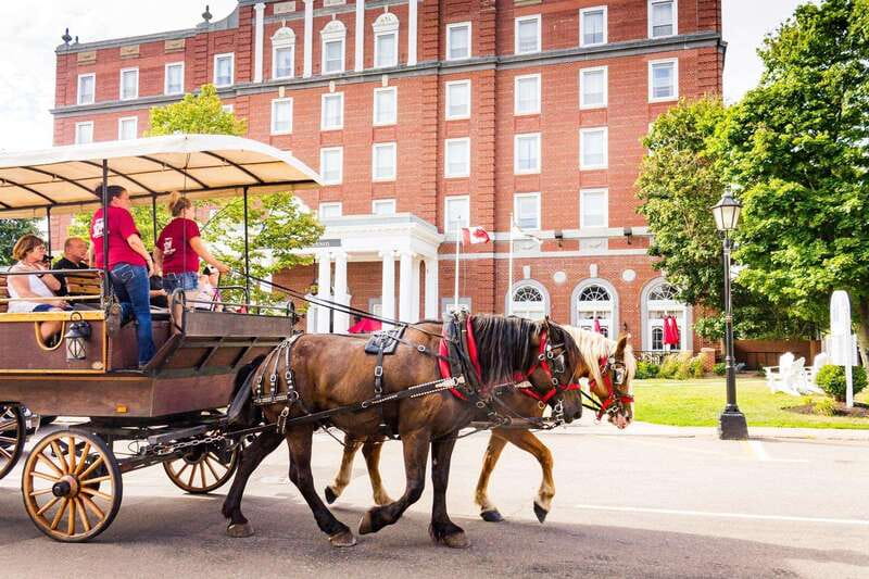 Prince Edward Island: Horse-Drawn Carriage Tour - Weather, timing, and what to bring
