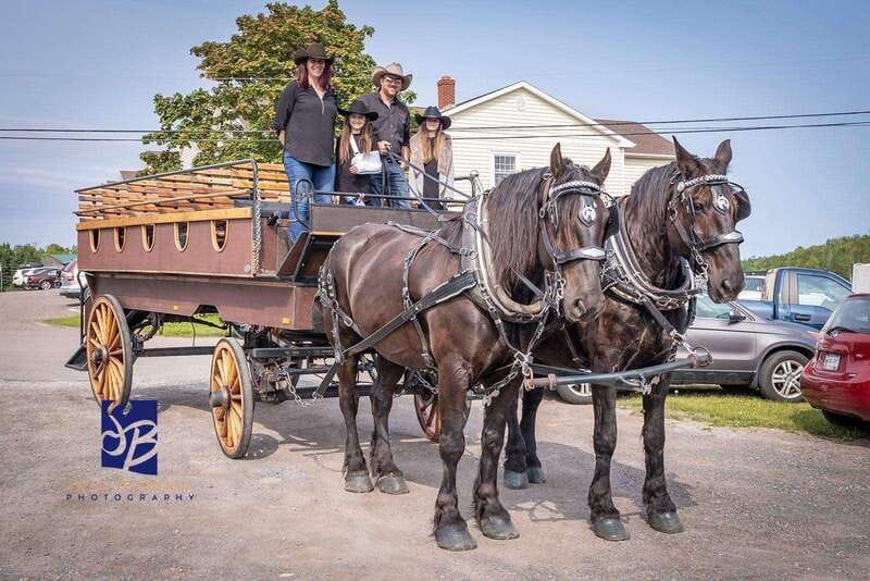 Prince Edward Island: Horse-Drawn Carriage Tour - From Founders Hall into the historic center