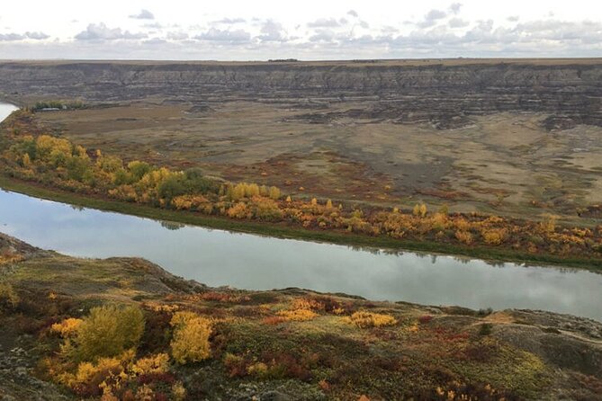 Private Badland Tour - The Royal Tyrrell Museum deserves your best two hours