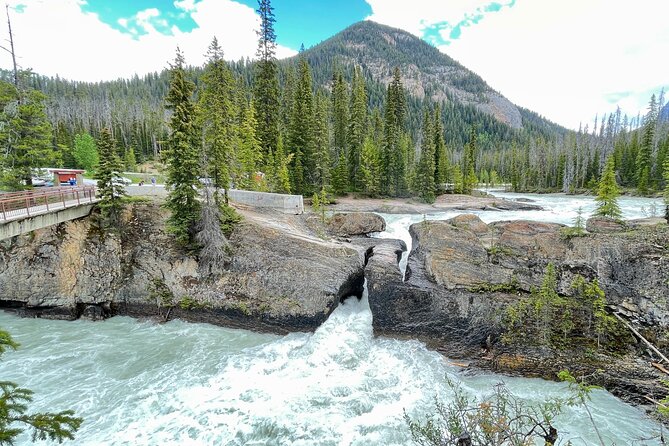 Private Banff and Yoho National Park Tour with Moraine Lake - Lake Louise: famous for good reason, but busy by nature