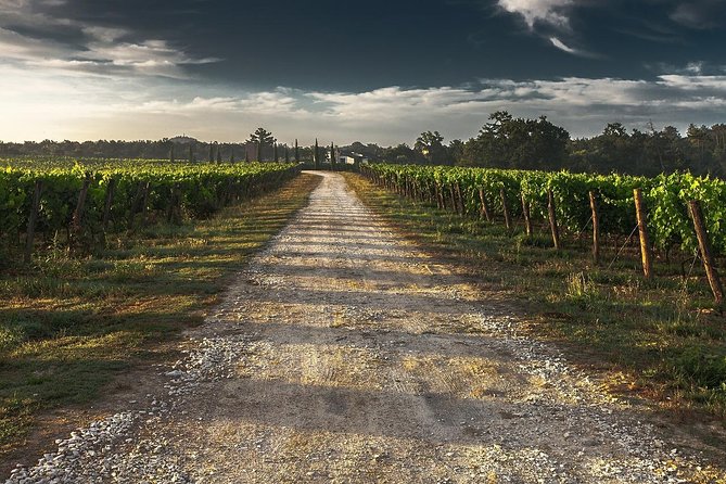 Private Customizable Niagara Wine, Beer, and Spirits Day Tour - Key points at a glance