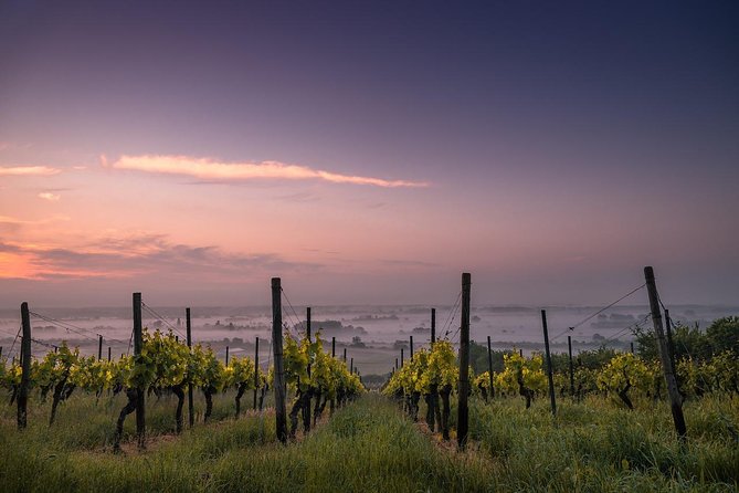 Private Customizable Niagara Wine, Beer, and Spirits Day Tour - A private tasting day built around your group