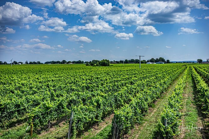 Private Customizable Scenic Niagara Boutique-Winery Day Tour - Practical details that affect your day