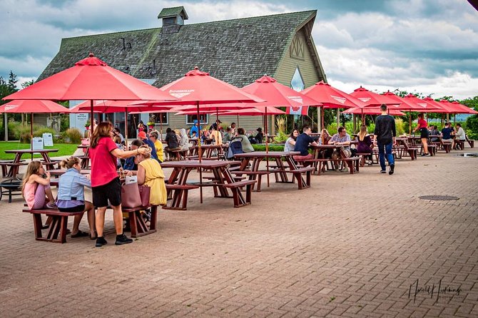 Private Customizable Scenic Niagara Falls Day Trip/Tour/Adventure - Guides, communication, and the human side of the tour