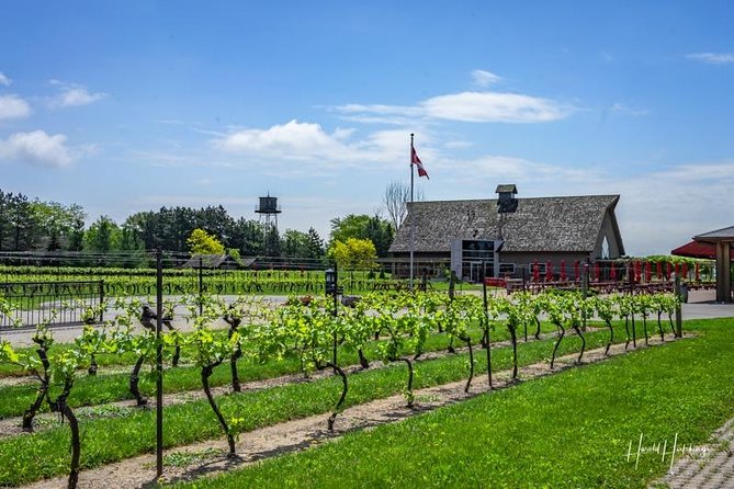 Private Customizable Wine-Tasting Adventure/Day Tour Niagara - What the guides add to the experience