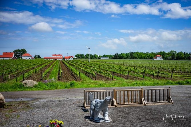 Private Customizable Wine-Tasting Adventure/Day Tour Niagara - Practical details before you reserve