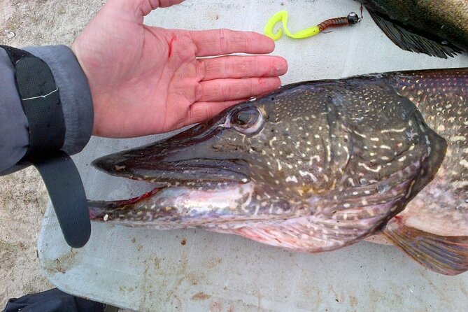 Private Fishing Adventure on the St. Lawrence River - A good choice for children and mixed skill levels