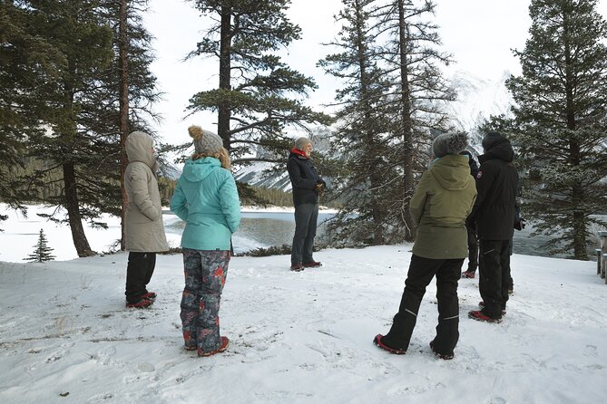Private Forest Bathing Experience Connect with Nature - The locally foraged tea ceremony