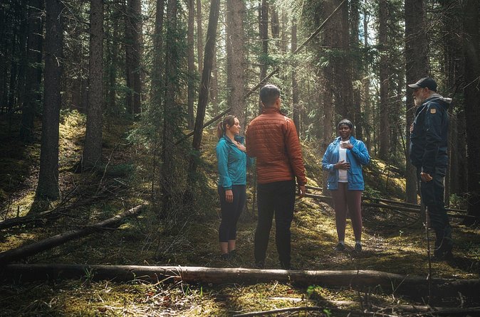 Private Forest Bathing Experience Connect with Nature - Price, timing, and weather concerns