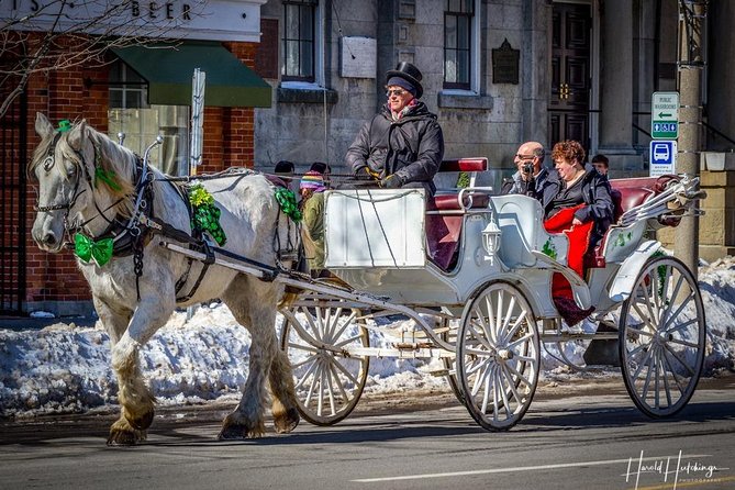 Private Niagara Ice Wine Tour - Why ice wine makes this Niagara tour different