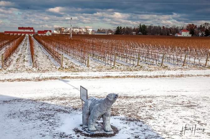 Private Niagara Ice Wine Tour - What the tasting budget really looks like