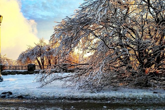 Private Niagara Ice Wine Tour - Small details that improve the day