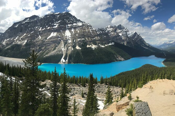 Private Tour Banff Yoho Jasper National Park for a Small Group - The human side of the guiding