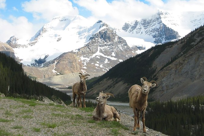 Private Tour: Majestic Mountains PHOTO SAFARI Drive - 4H - Key points to know