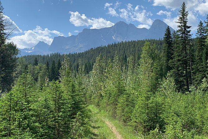 Private Tour: Majestic Mountains PHOTO SAFARI Drive - 4H - Kananaskis Country, one main setting with plenty to see