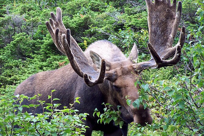Private Tour: Majestic Mountains PHOTO SAFARI Drive - 4H - A private group changes the pace