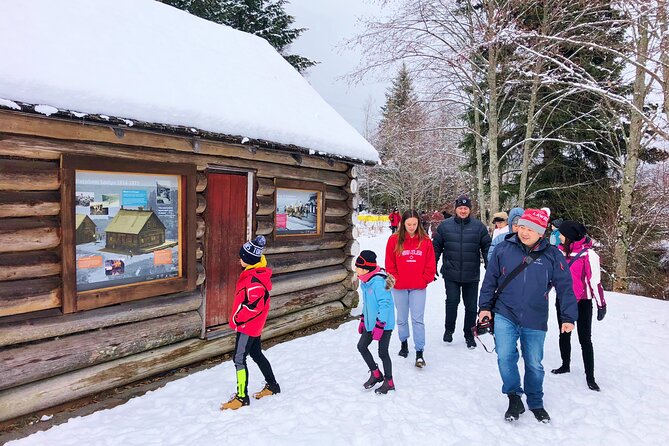 Private Whistler Sightseeing Tour: Discover all of Whistler in Comfort! - Function Junction brings you into local Whistler