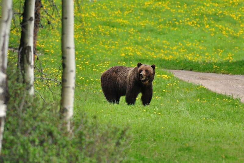 PRIVATE Wilderness and Wildlife Walking Tour - 3hrs - Key points at a glance