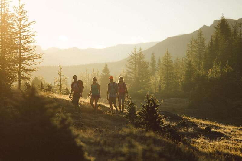 PRIVATE Wilderness and Wildlife Walking Tour - 3hrs - Who should book this private walk