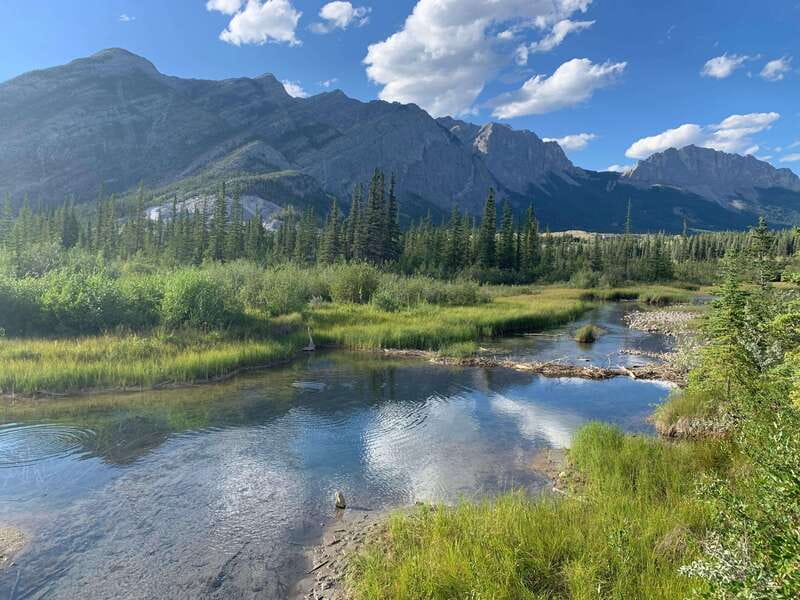 PRIVATE Wilderness and Wildlife Walking Tour - 3hrs - Following trails chosen for wildlife potential