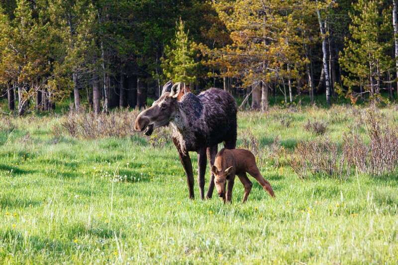 PRIVATE Wilderness and Wildlife Walking Tour - 3hrs - What the three-hour walk may feel like