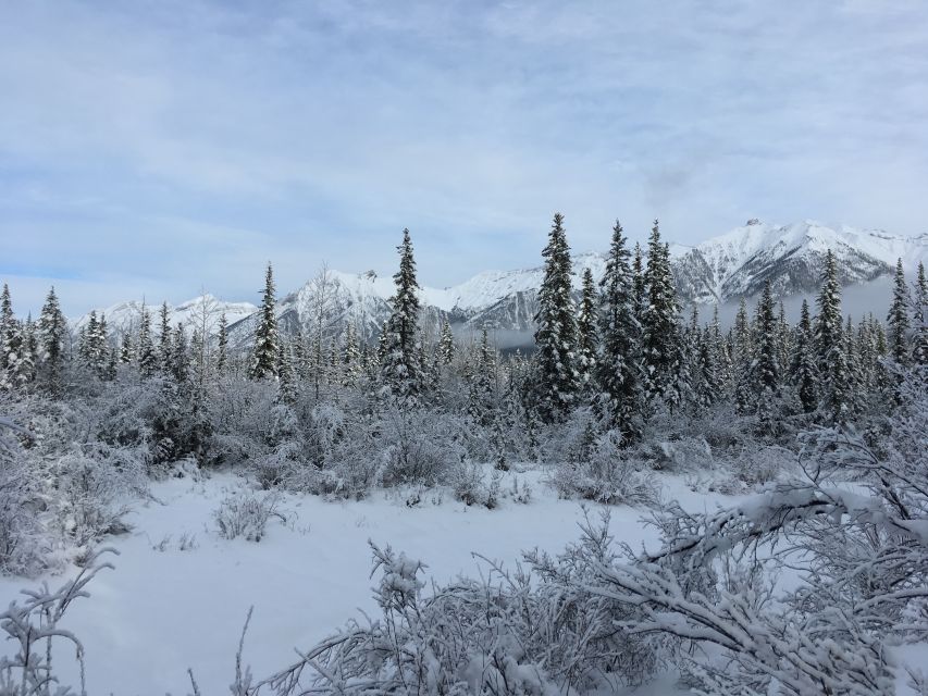 PRIVATE Wilderness and Wildlife Walking Tour - 3hrs - How the guide adds value