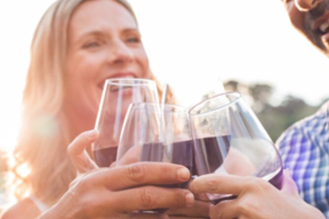 Private Wine & Charcuterie Tour (Customizable) - Four wineries, one private vehicle, and a full afternoon