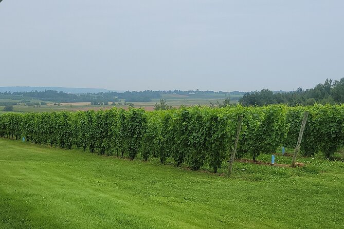 Private Wine Tours from Halifax - Weather, Timing, and What to Confirm