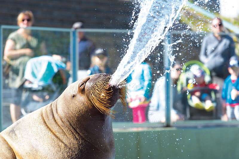 Quebec: Aquarium du Quebec Entry Ticket - Key Points at a Glance