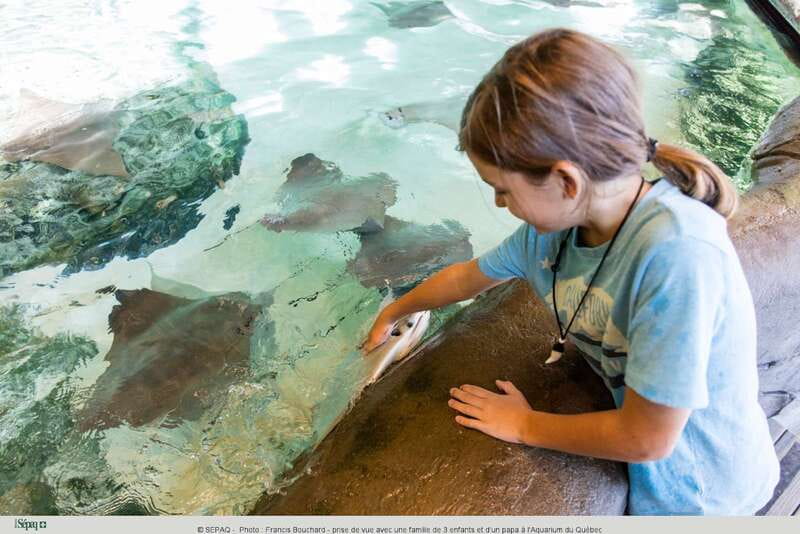 Quebec: Aquarium du Quebec Entry Ticket - Polar Bears and Arctic Animals Outdoors