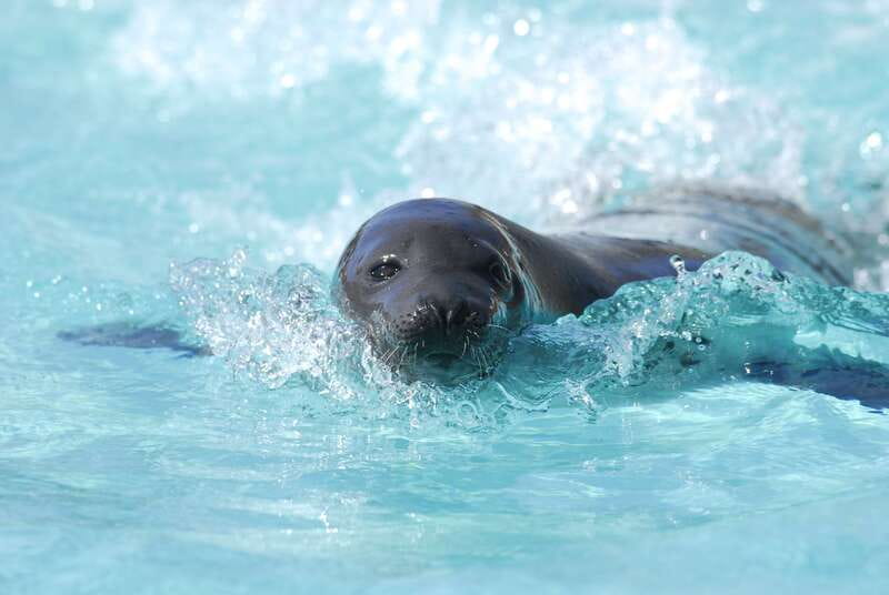 Quebec: Aquarium du Quebec Entry Ticket - Families, Accessibility, and Practical Comfort